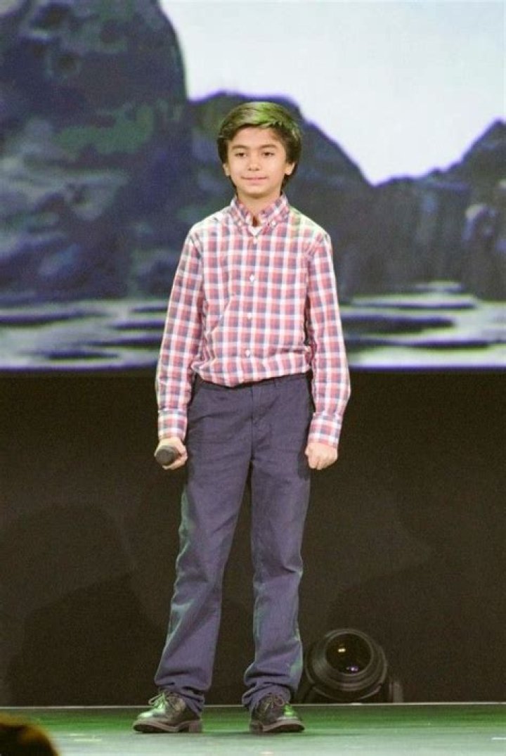 Neel Sethi - Bio, Age, Wiki, Facts and Family