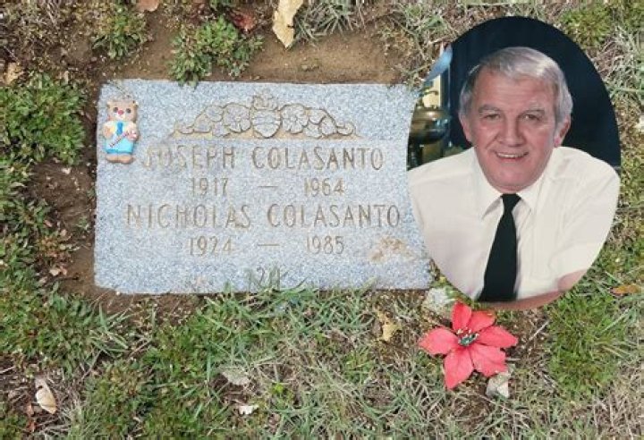 Nicholas Colasanto - Bio, Age, Wiki, Facts and Family