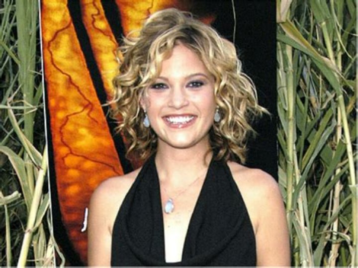 Nicki Aycox - Bio, Age, Wiki, Facts and Family