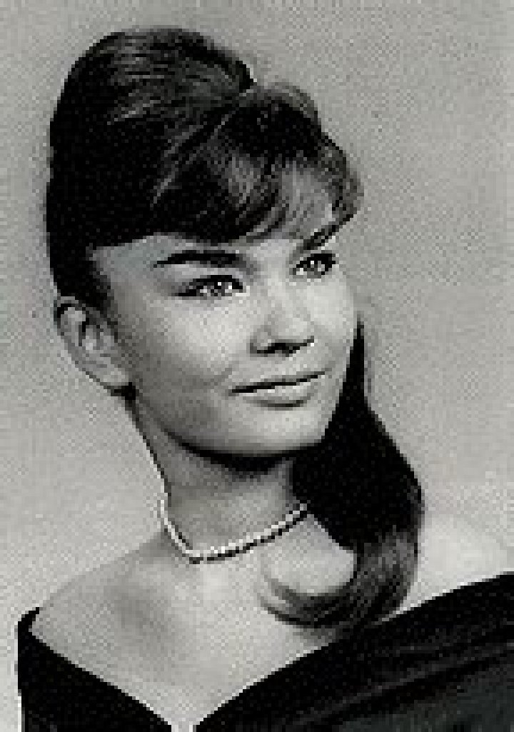 Patricia Polacco - Bio, Age, Wiki, Facts and Family