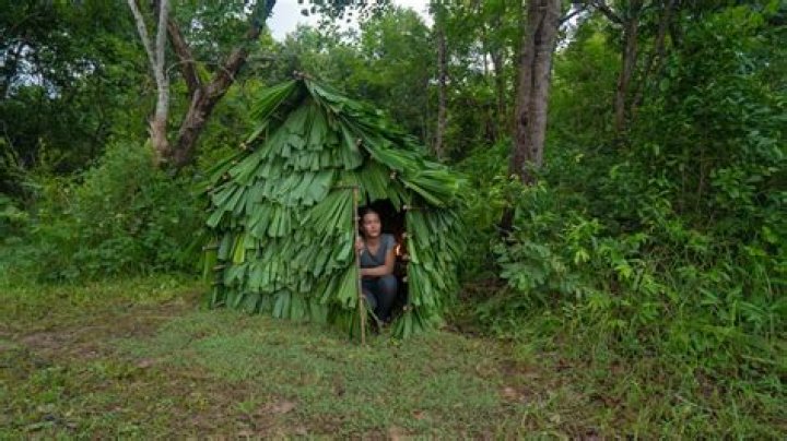 Primitive Survival Life (webvideostar) - Wikipedia, Age, Net Worth, Biography , Spotify, TikTok, Facebook, Facts and Family