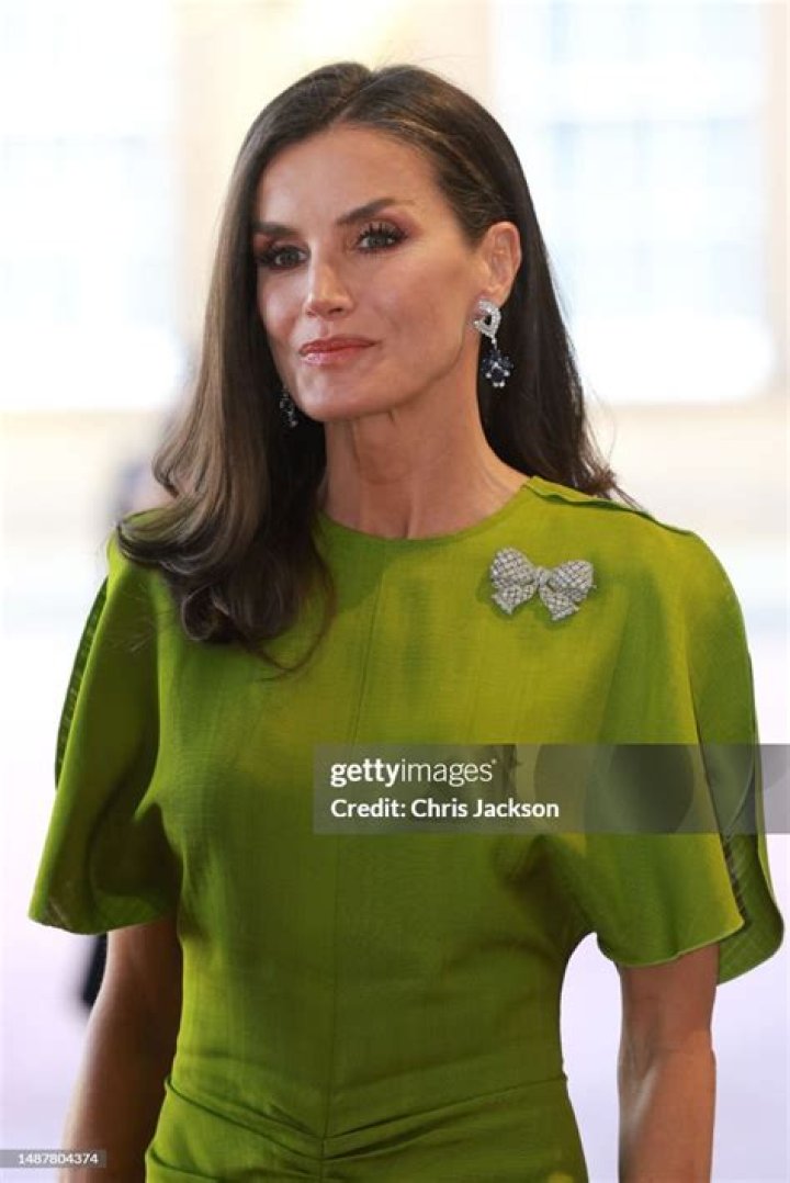 Queen Letizia of Spain - Bio, Age, Wiki, Facts and Family