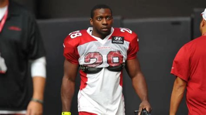 Rashard Mendenhall - Bio, Age, net worth, height, Wiki, Facts and Family