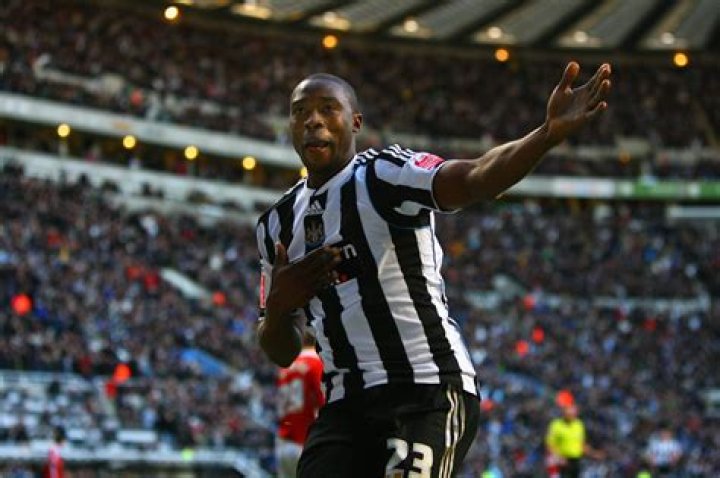 Shola Ameobi - Bio, Age, siblings, height, Wiki, Facts and Family