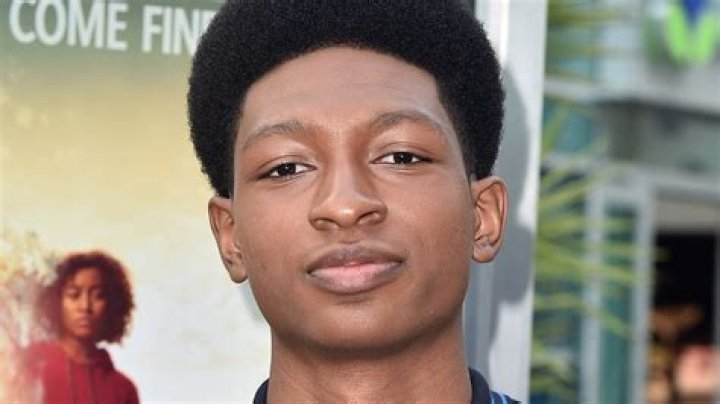 Skylan Brooks - Bio, Age, weight, height, Wiki, Facts and Family