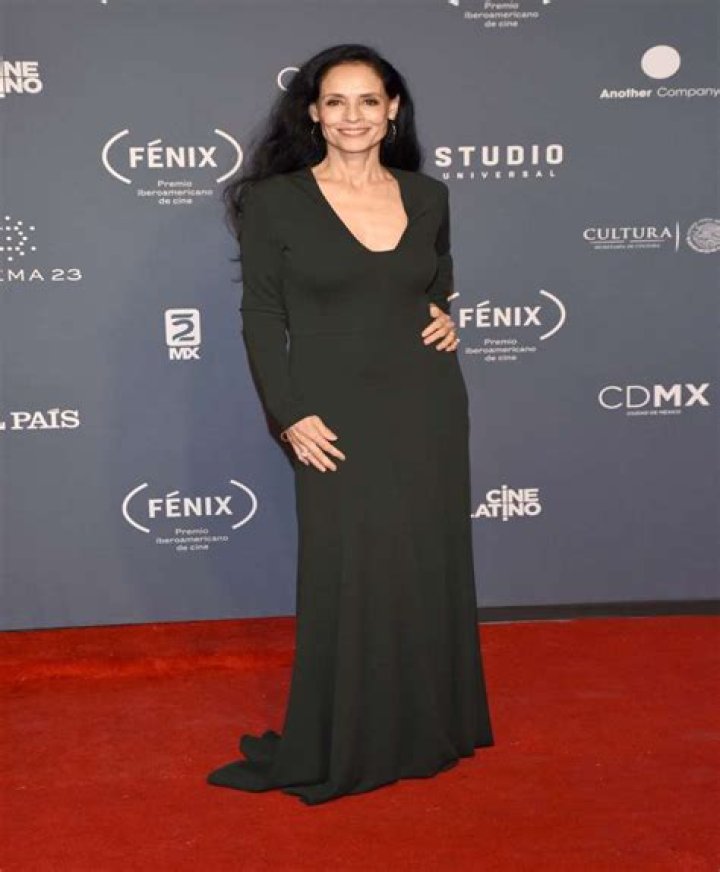 Sonia Braga - Bio, Age, Wiki, Facts and Family