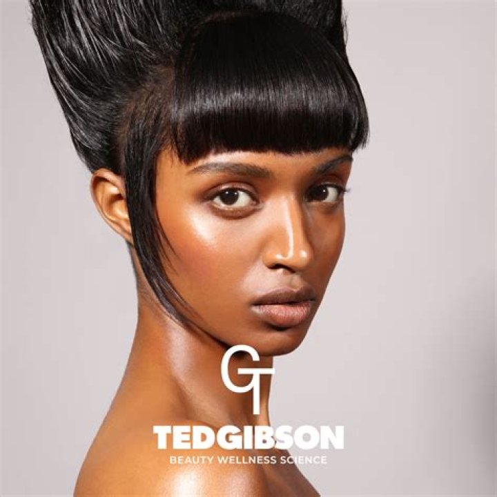 Ted Gibson - Bio, Age, Wiki, Facts and Family