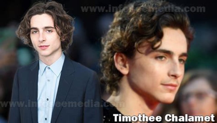 Timothée Chalamet - Bio, Age, net worth, siblings, height, Wiki, Facts and Family