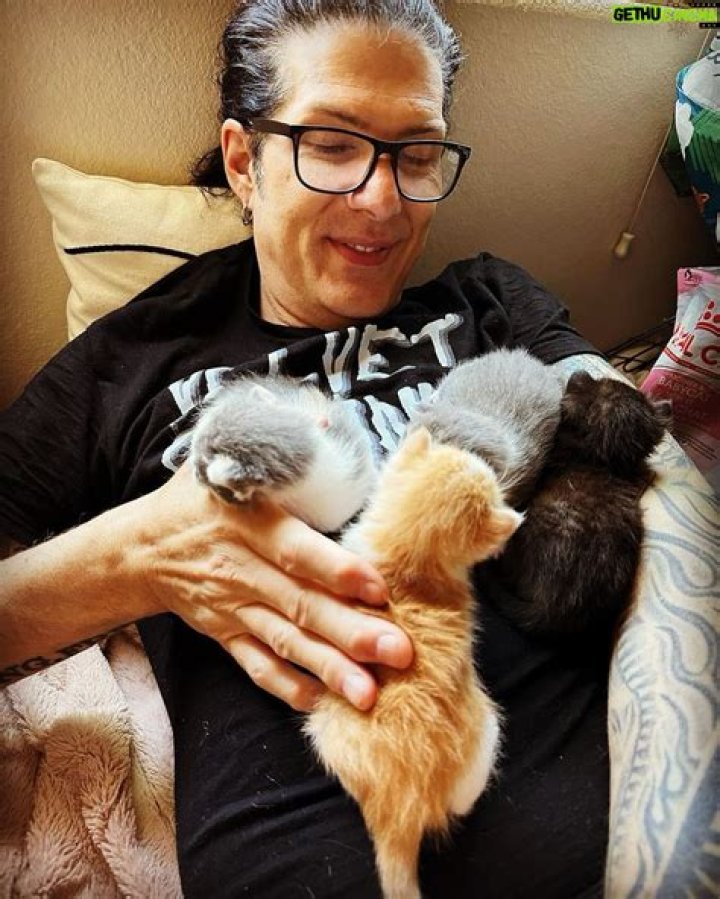 Todd Kerns - Bio, Age, Wiki, Facts and Family
