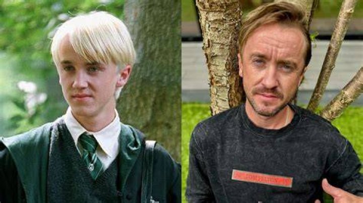 Tom Felton - Bio, Age, net worth, siblings, height, Wiki, Facts and Family