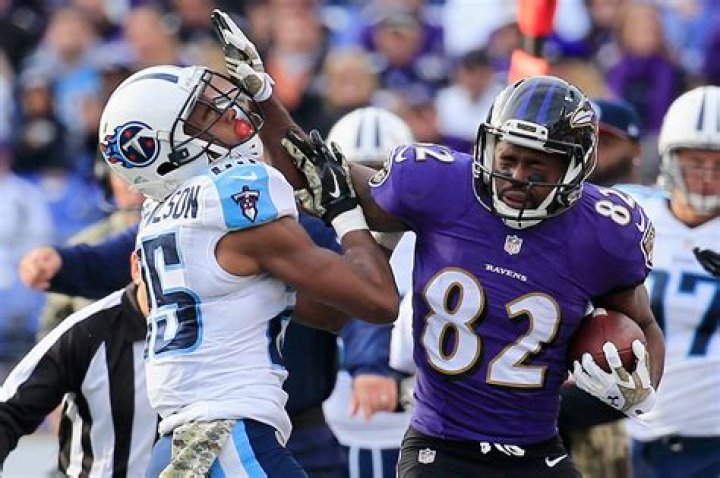 Torrey Smith - Bio, Age, net worth, siblings, height, Wiki, Facts and Family