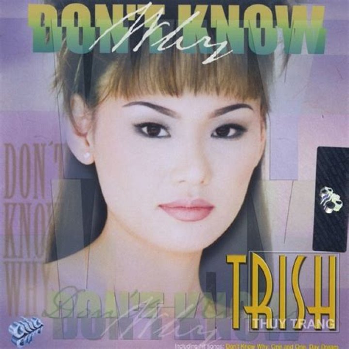 Trish Thuy Trang - Bio, Age, Wiki, Facts and Family