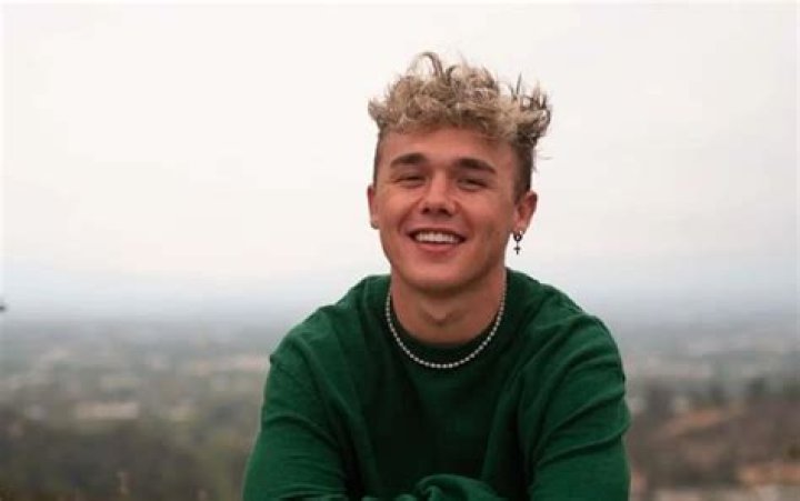 Tyler Hearing (webvideostar) - Wikipedia, Age, Net Worth, Biography , Spotify, TikTok, Facebook, Facts and Family