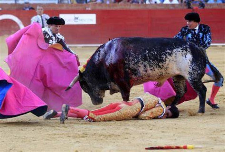 Victor Barrio (bullfighter) - Wikipedia, Age, Net Worth, Biography , Spotify, TikTok, Facebook, Facts and Family