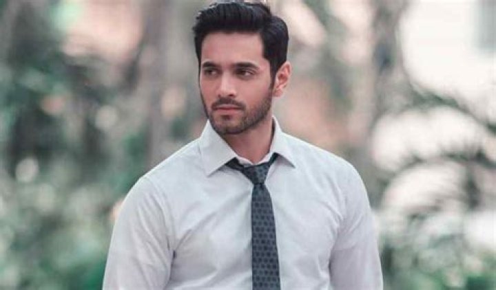Wahaj Ali: TV Actor Detailed Bio, Age, Birthday, & Height Insights and more
