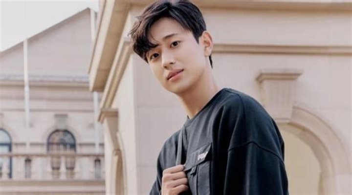 Who is Shin Hyun Seung ? Wikipedia,Age,Height,Weight,Real Name,Net Worth
