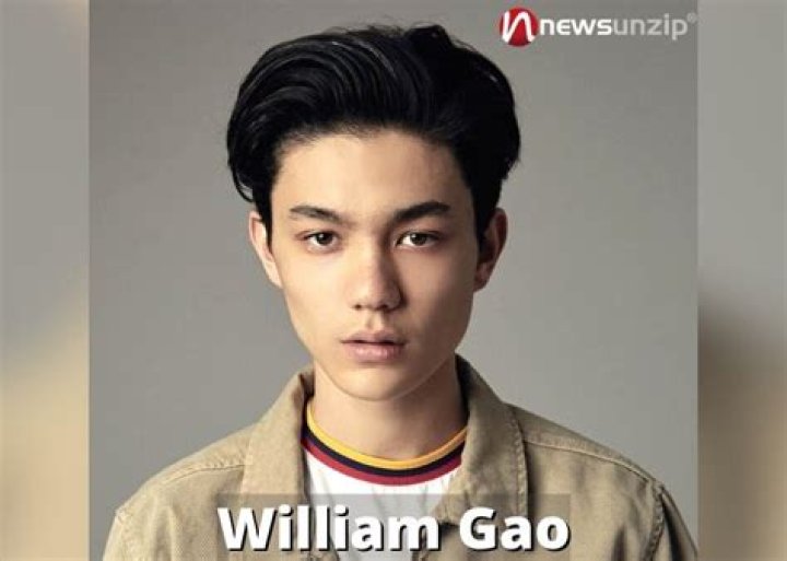 William Gao (actor) - Wikipedia, Age, Net Worth, Biography , Spotify, TikTok, Facebook, Facts and Family