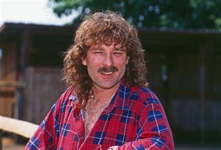 Wolfgang Petry - Bio, Age, Wiki, Facts and Family