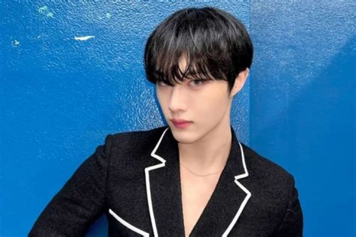Young Bae - Bio, Age, Wiki, Facts and Family